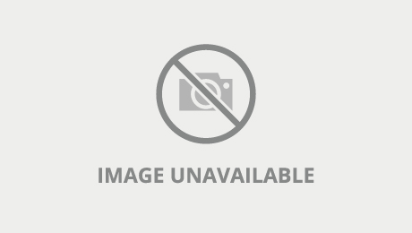 Love Home Porn blowjob sex